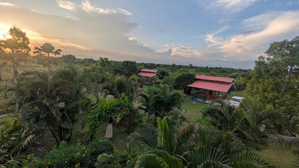 Sunset over the garden at Bonolata