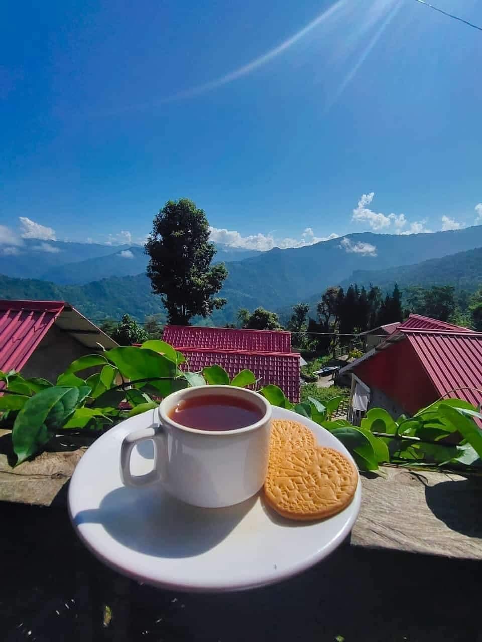 Morning tea above the cottages at Samalbong