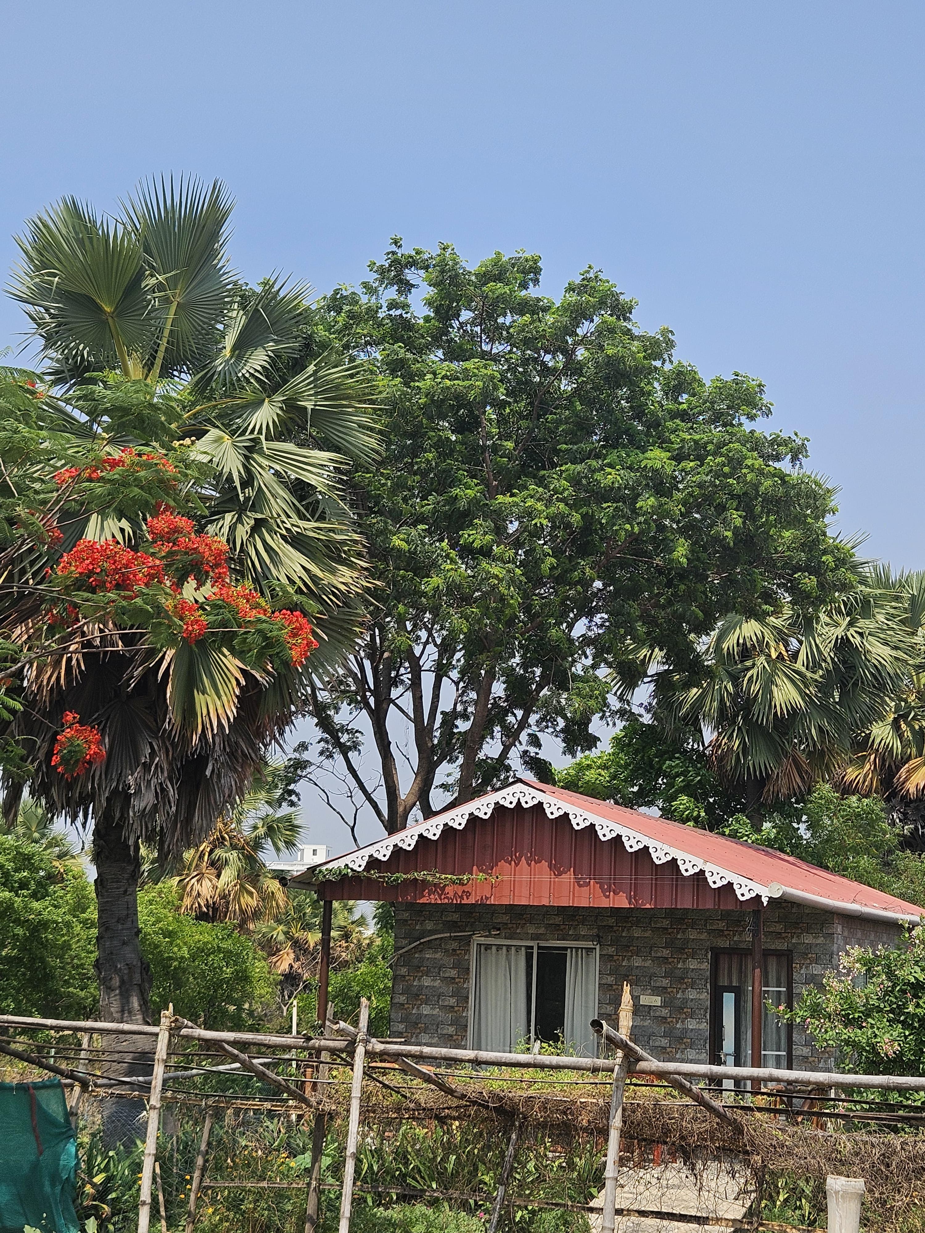 Futiary Retreat Purulia photo 4