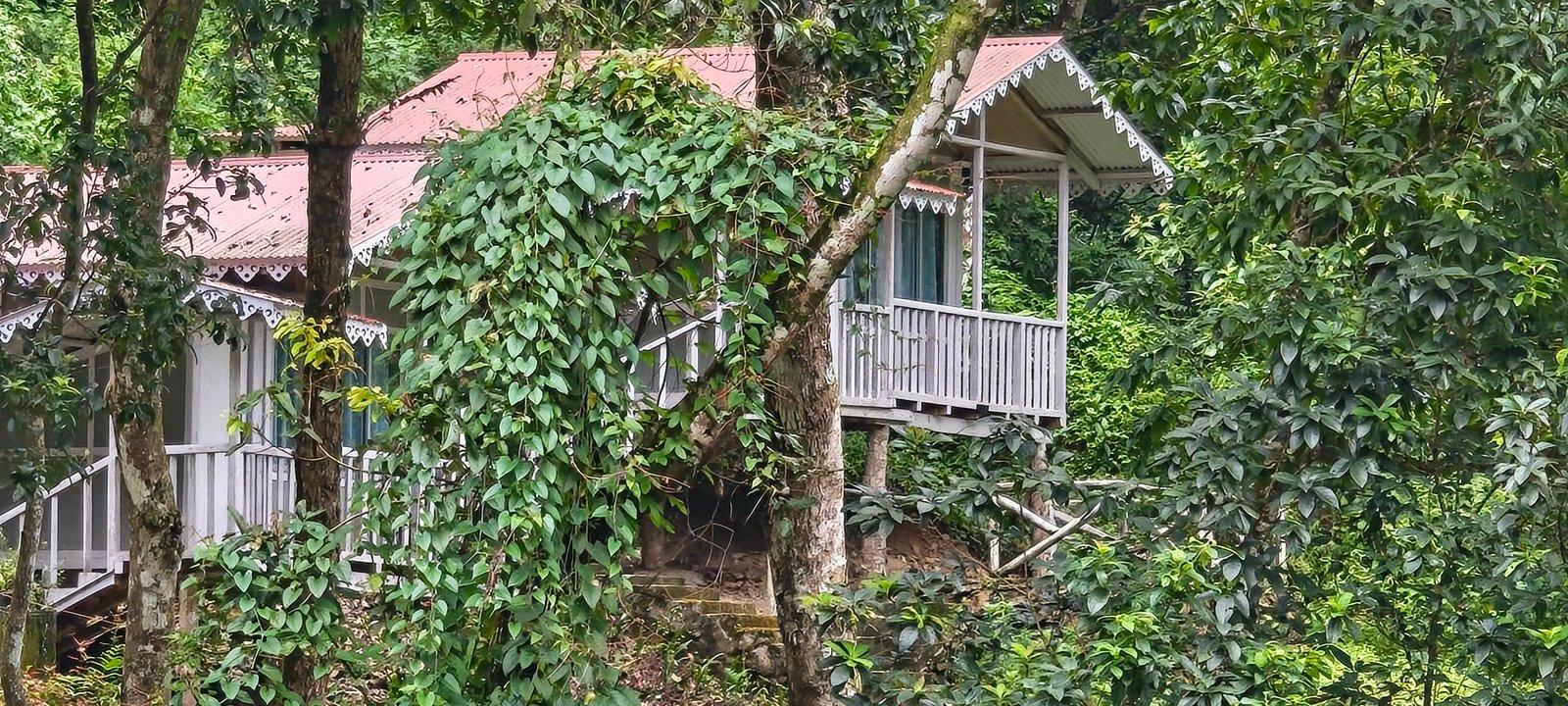 Rishi River View Unique Cottage at Rishikhola photo 2