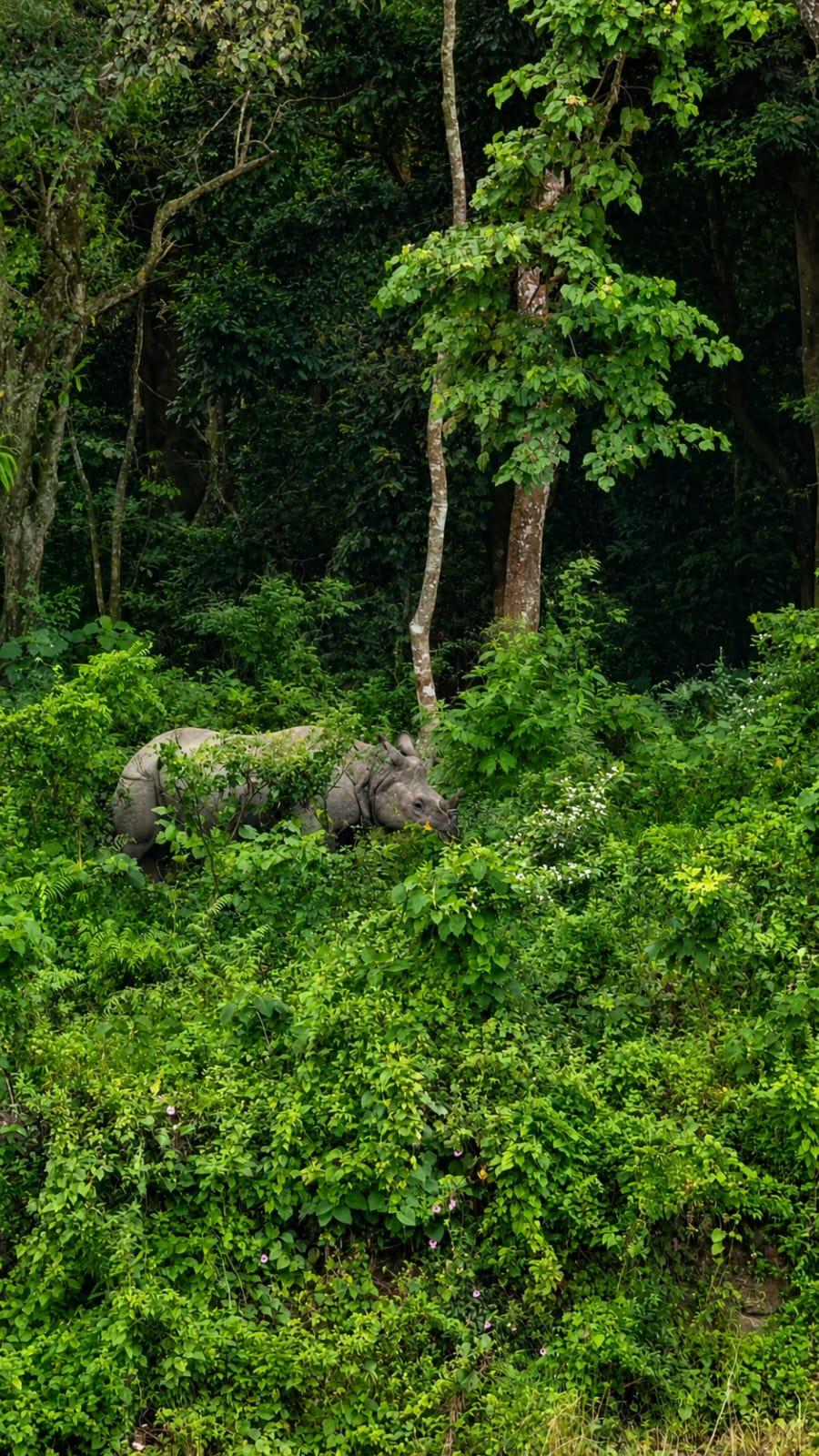 Sisamara River View Forest Villa photo 3